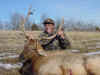LuckyHunt (11).JPG (355922 bytes)