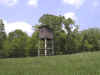 bigcedar.jpg (68868 bytes)