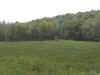 bigcedarview.jpg (57010 bytes)