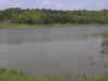 newlakeview.jpg (41978 bytes)