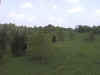 pondstandview2.jpg (43504 bytes)