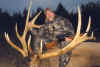 Elk032.jpg (260001 bytes)